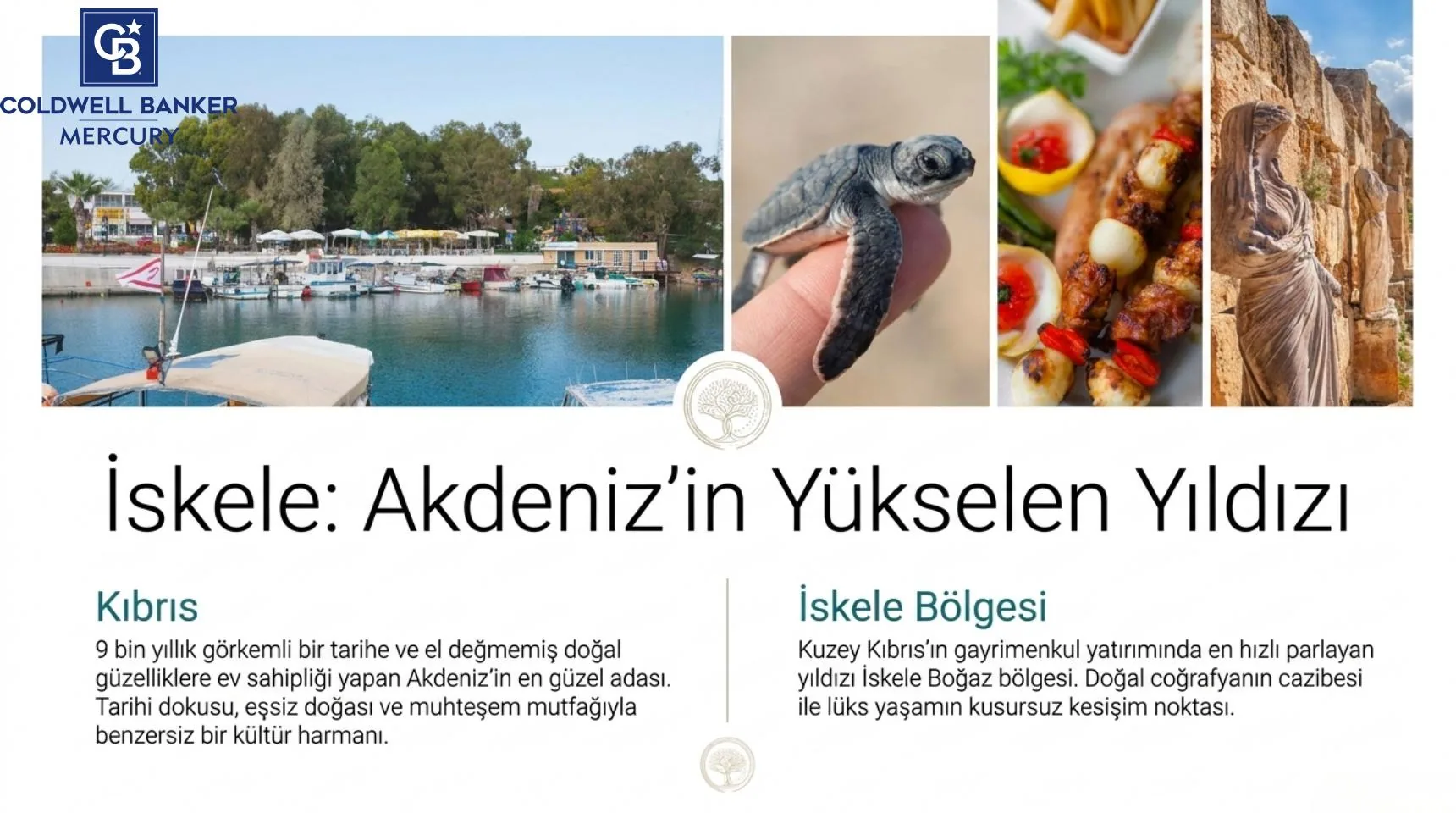 Four Seasons Life Kıbrıs konut projesi görsel 4